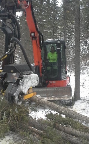 Firesmart treatment in Canmore AB using a compact tree harvestor to fall, delimb and build piles.