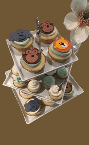 Safari Cupcakes