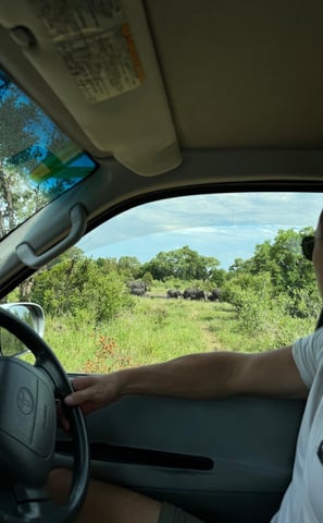 a man driving safari and wildlife in backround Kruger National Park