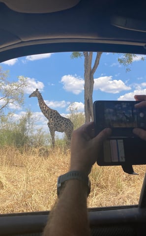 Traveller taking photo of a giraffe in africa