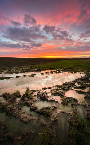 a sunset sky with clouds and a pink sky at Rainham Marshes