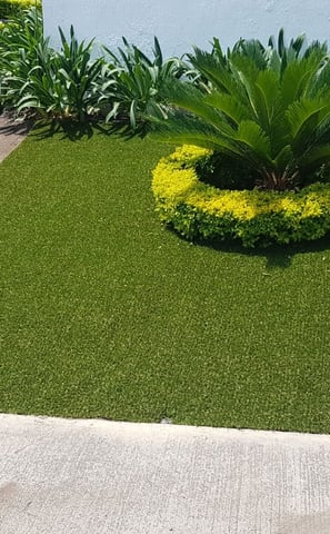 Pasto sintético verde instalado en un jardín residencial en Guadalajara