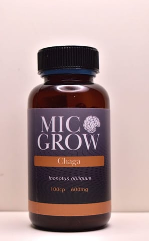 Chaga