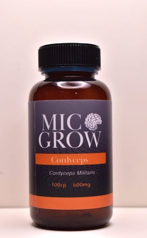 Cordyceps