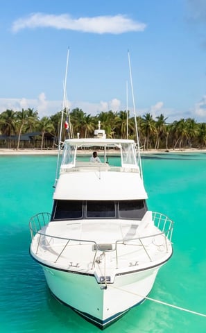a boat in the water with palm trees in the background