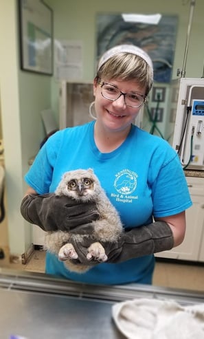 Erica Hayden CEO of 'For the Critters Foods' holds an owl