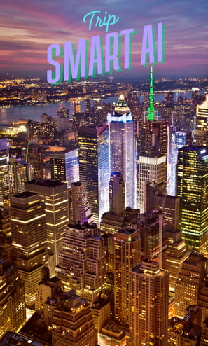 a city skyline with a city skyline view of a city in New York