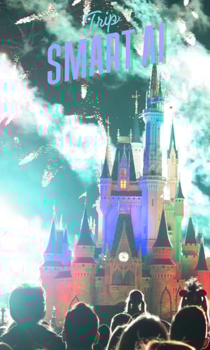 a Magic Kingdom castle with fireworks and people watching fireworks