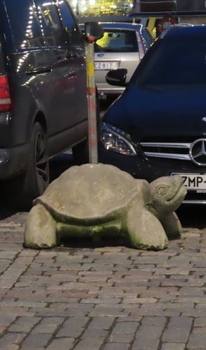 Absperrung in schön - als Schildkröte
