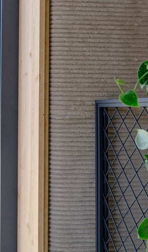 a plant in a window