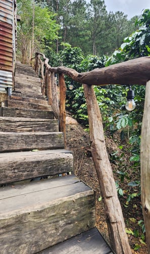 a wooden staircase leading up to a wooden staircase