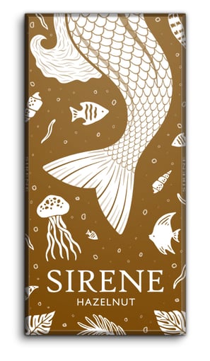 Sirene Chocolate with hazelnuts