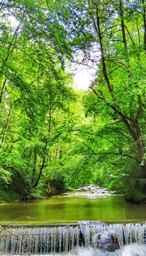 Schöner Fluss