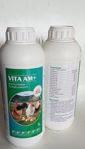 Vita AM+