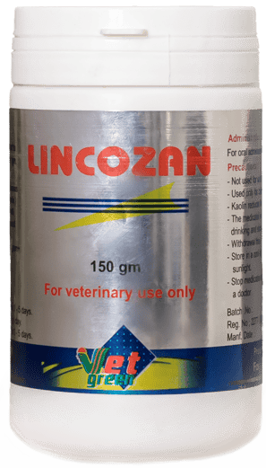 LINCOZAN