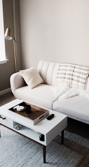 Couch and coffee table