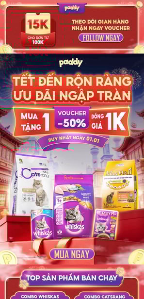 Khoá học trang trí gian hàng shopee