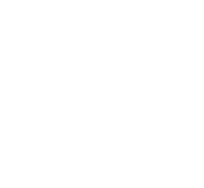 Aponte Events logo