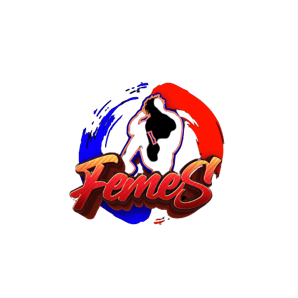feezashop logo