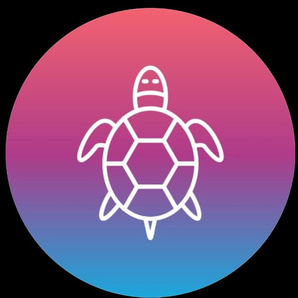SHELLY COIN logo