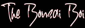 Superior Bonsai logo