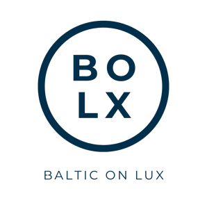 BALTIC ON LUX International Consulting. International consulting firm specialized in business growth, client acquisition, and logistics optimization across Europe. logo