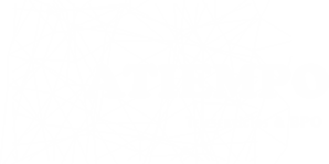 Atiempo Teleservicios & BPO logo