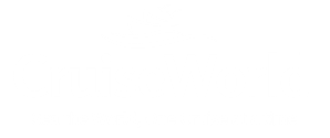 Cruiseworld Cruise Travel Agency logo