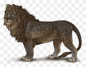 Leopon `group logo