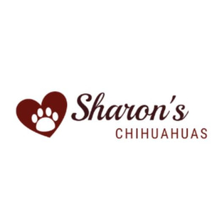 Sharon's Chihuahuas logo