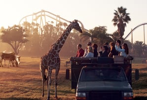 Busch Gardens Tampa