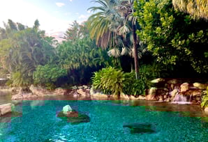 Discovery Cove