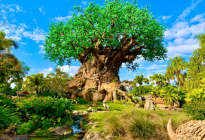 Animal Kingdom