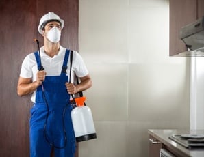 technicien qui fait une désinsectisation a Nice