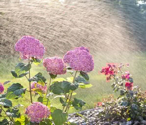 Irrigation repair company