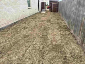 Side yard with patchy grass and wooden fence.