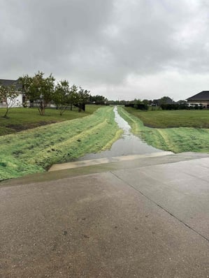 Creek with Water