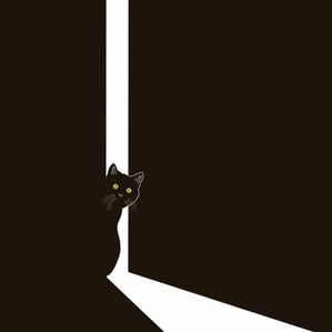Black cat watching through a slightly opened door.
