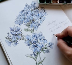 Workshop artistico all'aperto con persona che dipinge e scrive il significato del fiore