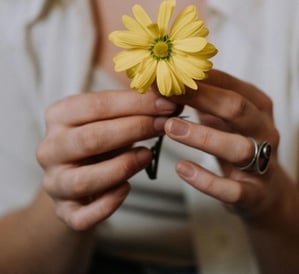 Yellow Flower