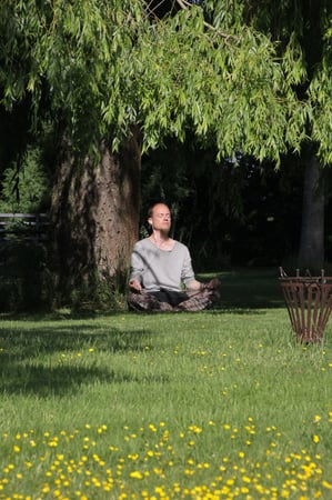 natuurcoaching meditatie wilg belgië erik boekhoven be in nature