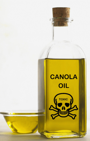 The deadly Canola oil dangers explained