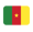 Bandera de Camerún