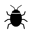 bed bug_24/03/25