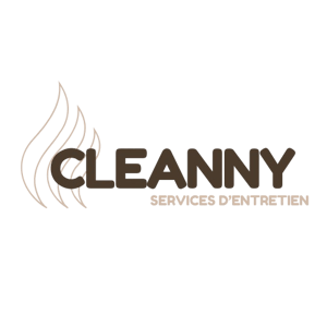 Cleanny logo