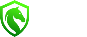 Hayasis logo