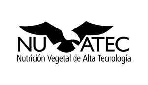 Nuvatec Solutions logo