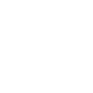The Digital World logo