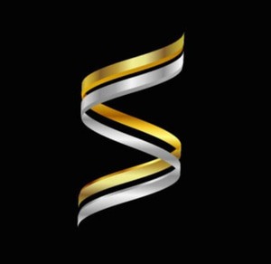 SYNERGIE AUTOMOBILES logo