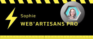 Sophie Web'artisans pro logo